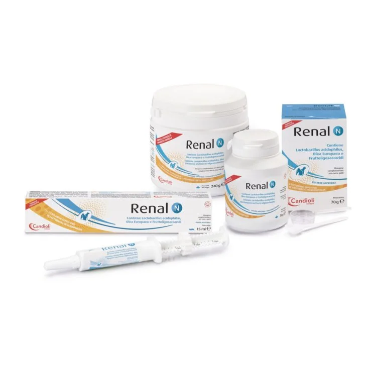 epharmacy1144557