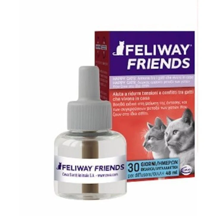epharmacy1235344