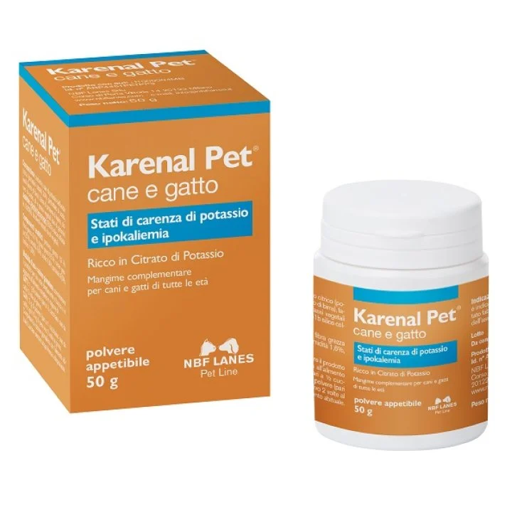 epharmacy1259902