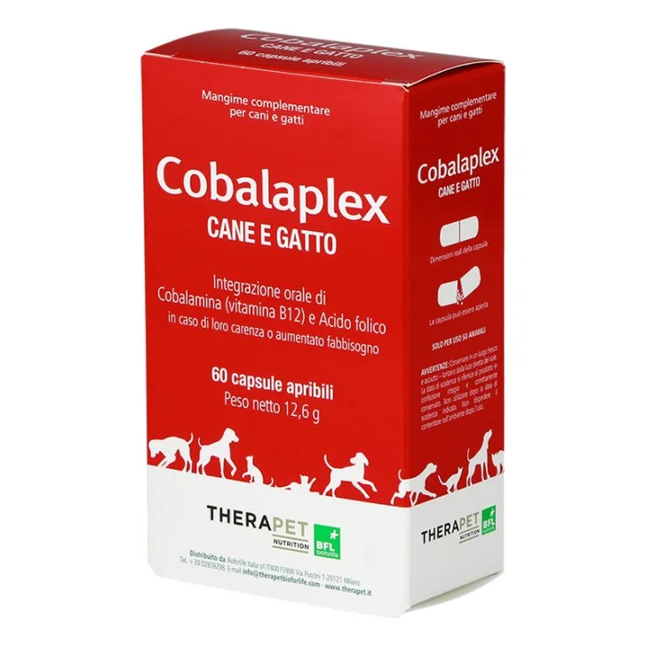 epharmacy1373867