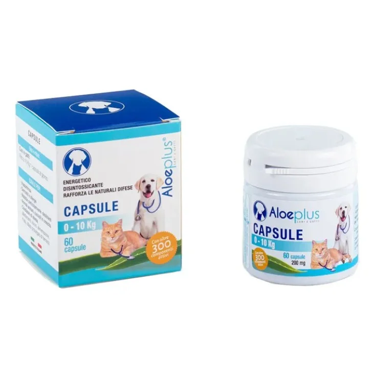 epharmacy1469811