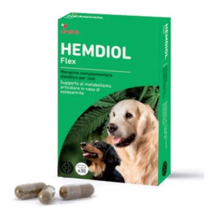 epharmacy1571434