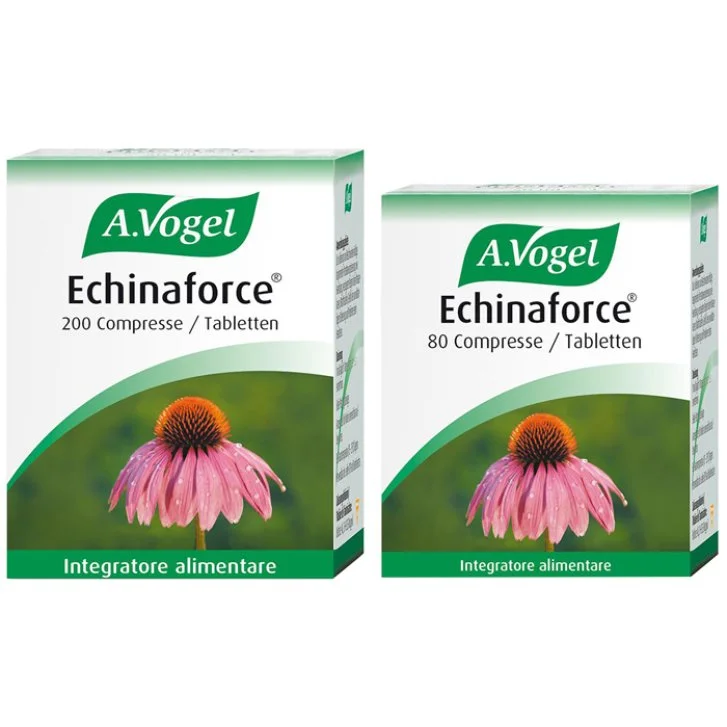 epharmacy1583119