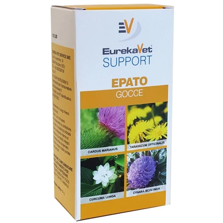 epharmacy1698727