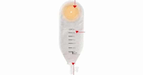 farmaciagaudiana1840623