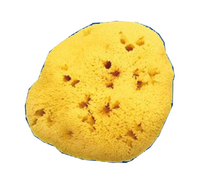 farmahome1378558