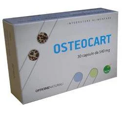 lovesano-11259784