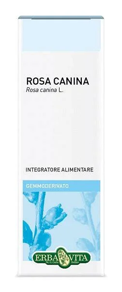 lovesano-11436092