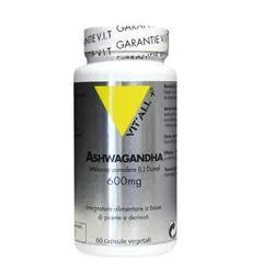 lovesano-21295298