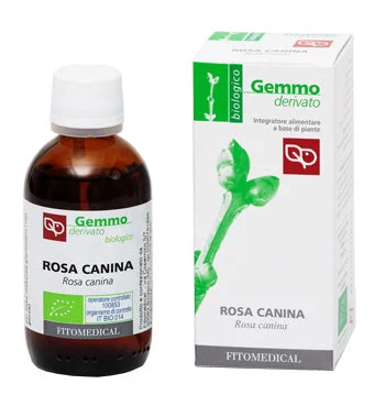 lovesano-21297394