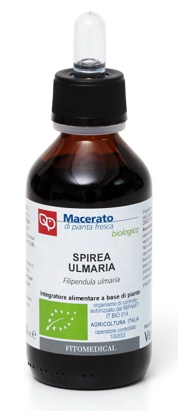 lovesano-21409719