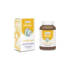 lovesano-31488751