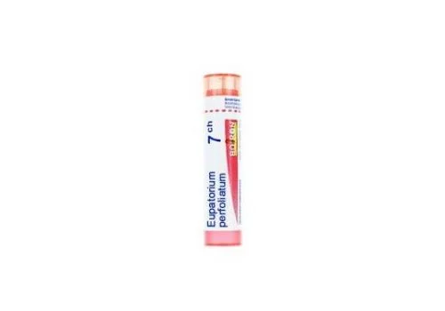 pharmasi-11137150