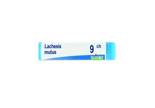 pharmasi-11171006