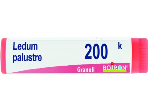 pharmasi-11365411