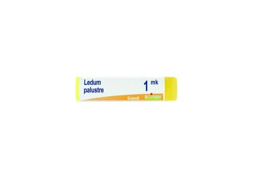 pharmasi-11365634