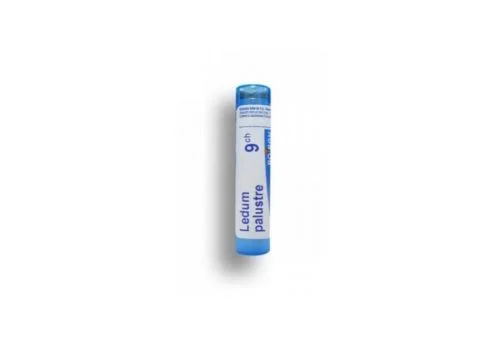pharmasi-11377585