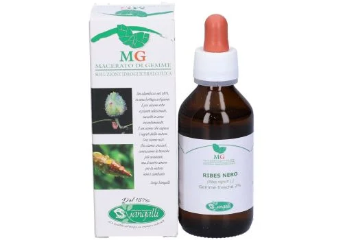 pharmasi-11512486