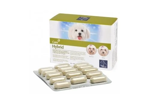 pharmasi1211583